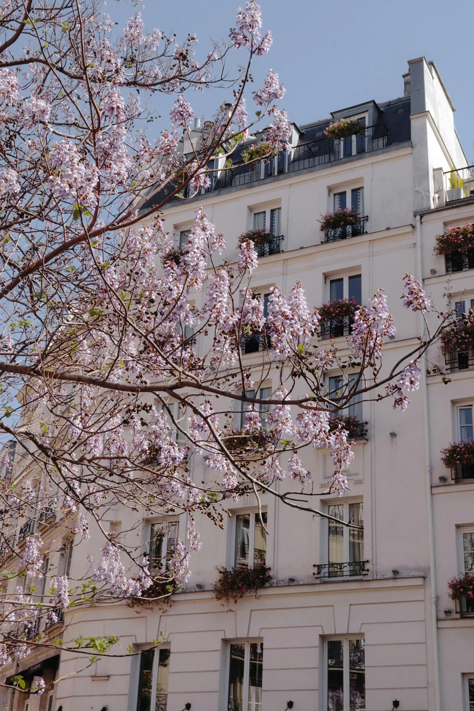 3 pièces lumineux aux Batignolles : 62 m² trouvés en off-market et négociés à -6 %